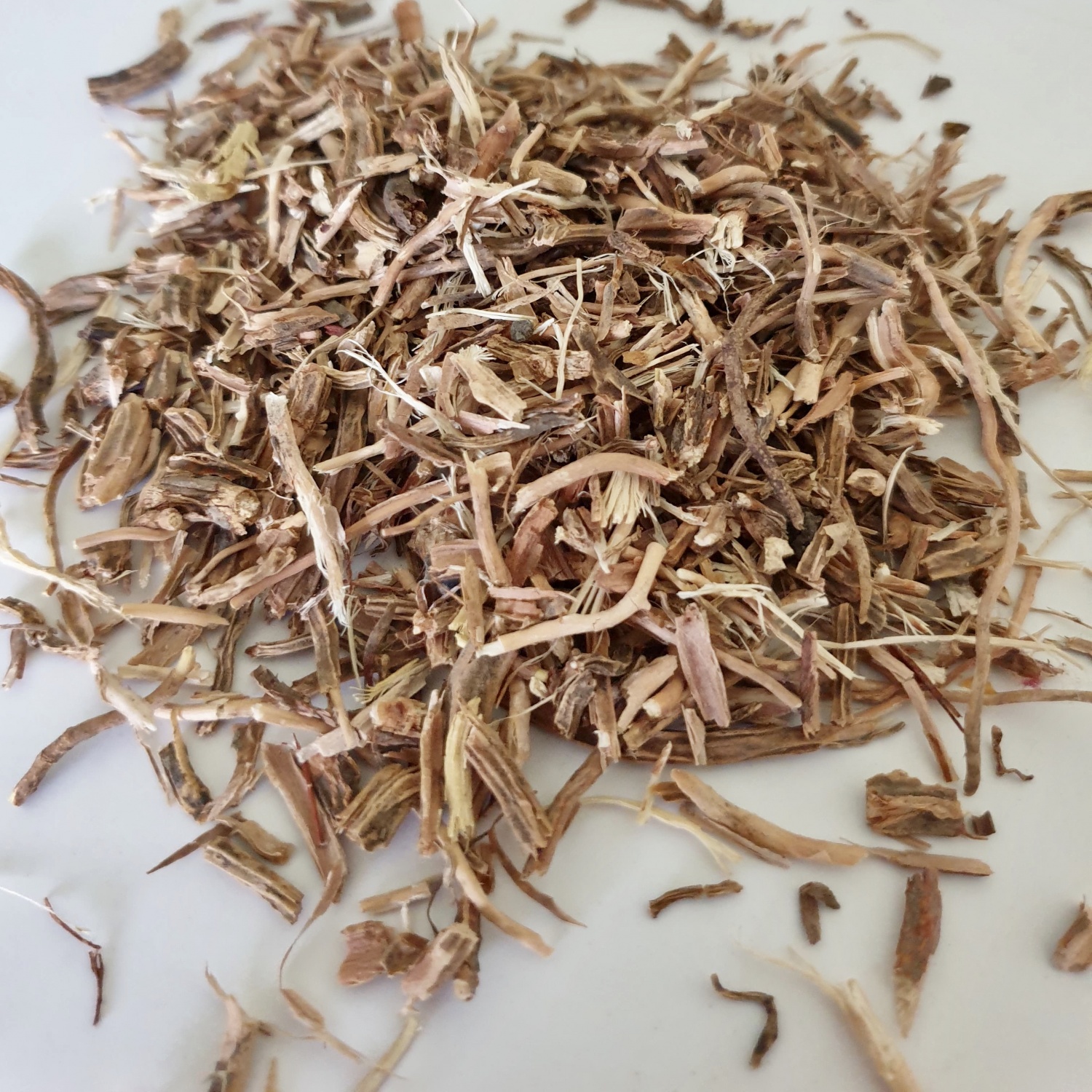 Sarsaparilla